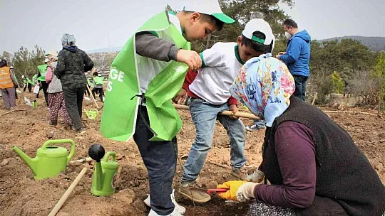 Milas'ta binlerce fidan toprakla buluştu
