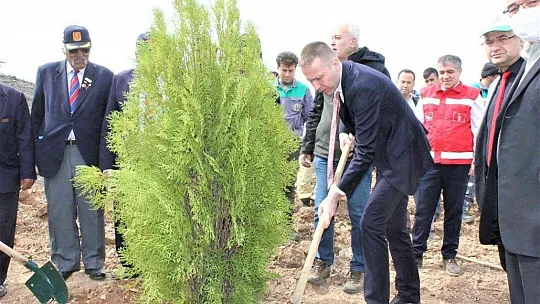 Milas'ta binlerce fidan toprakla buluştu