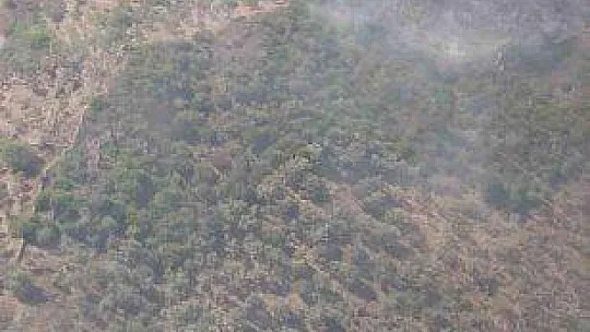 MİLAS'TA ÇIKAN YANGIN KONTROL ALTINA ALINDI