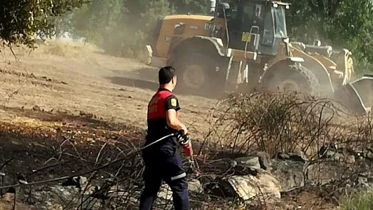 Milas'ta çıkan yangın panikletti