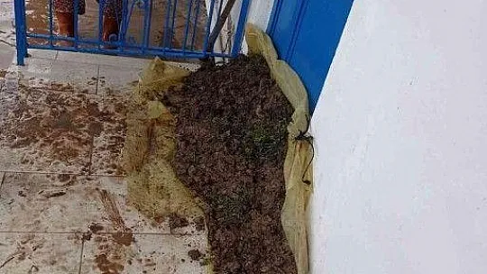Milas'ta etkili olan sağanak yağış sonrası su baskınları yaşandı