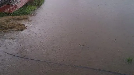 Milas'ta etkili olan sağanak yağış sonrası su baskınları yaşandı