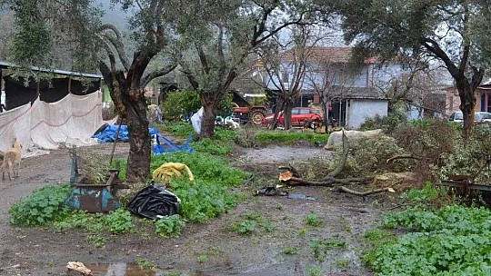 Milas'ta fırtına dev çatıyı kağıt gibi savurdu