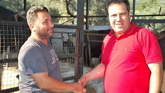 Milas'ta kurbanlık satışları başladı