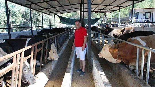 Milas'ta kurbanlık satışları başladı
