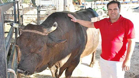 Milas'ta kurbanlık satışları başladı