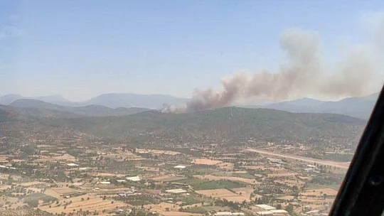 Milas'ta orman yangını başladı