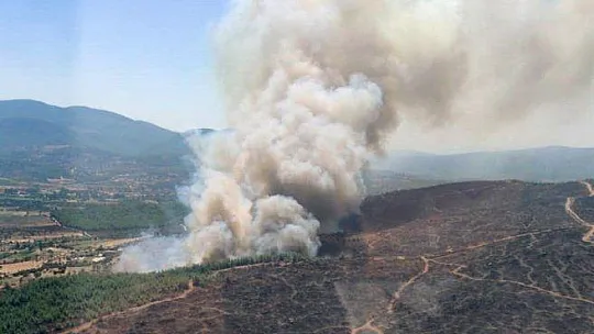 Milas'ta orman yangını başladı