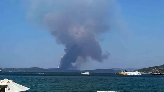Milas'ta orman yangını başladı