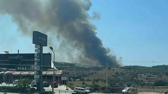 Milas'ta orman yangını başladı