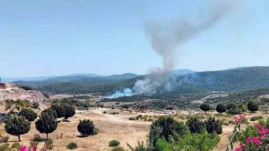 Milas'ta orman yangını başladı