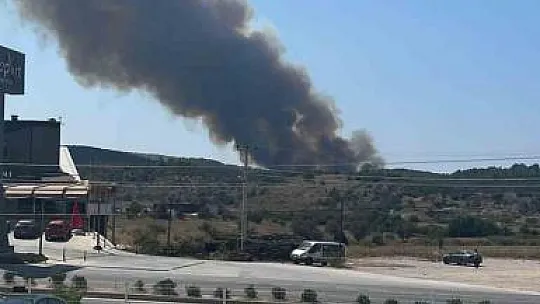 Milas'ta orman yangını başladı