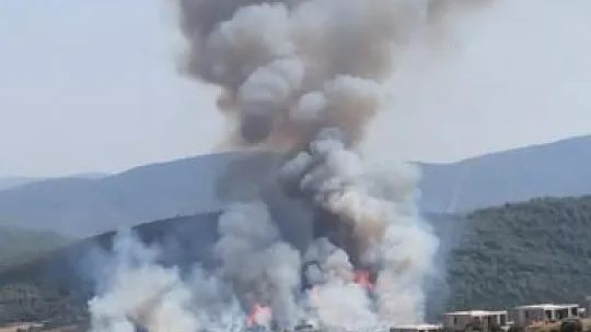 Milas'ta orman yangını başladı