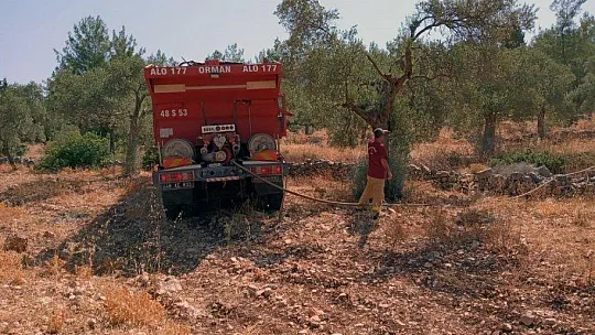 Milas'ta orman yangını kısa sürede söndürüldü