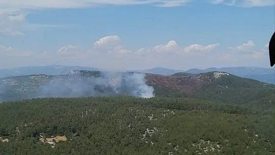 Milas'ta orman yangını