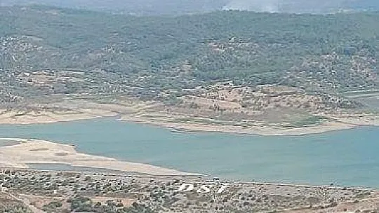 Milas'ta orman yangını