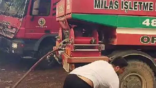 Milas'ta orman yangını