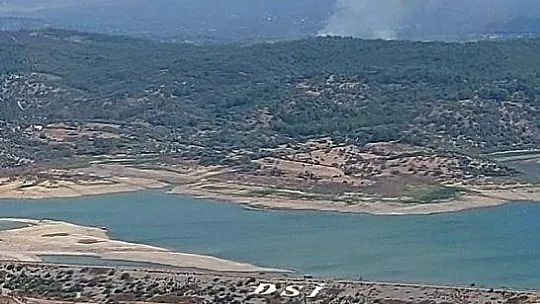 Milas'ta otluk yangını söndü, Güvercinlikte orman yangını başladı
