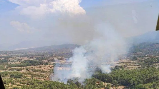 Milas'ta otluk yangını söndü, Güvercinlikte orman yangını başladı