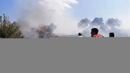 Milas'ta otluk yangını