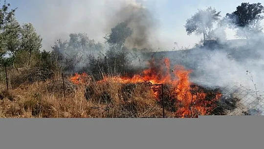 Milas'ta otluk yangını