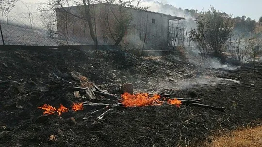 Milas'ta otluk yangını