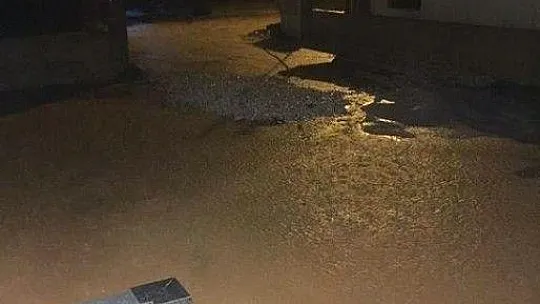 Milas'ta şiddetli yağış, su baskınlarına neden oldu