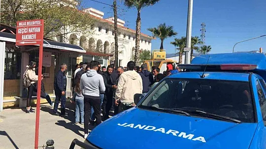 Milas'ta telefon dolandırıcılığı