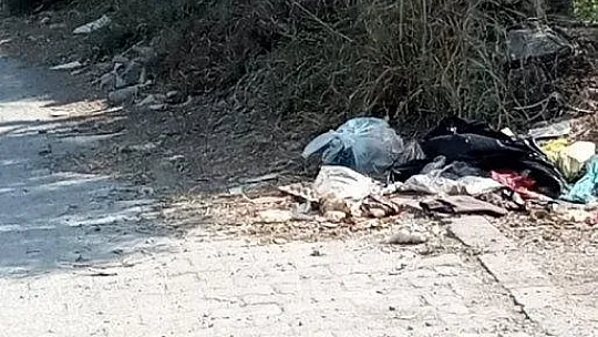 Milas'ta toplanmayan çöpler isyan ettirdi
