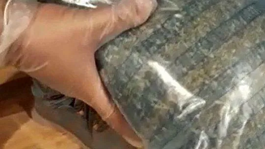 Milas'ta uyuşturucu operasyonu