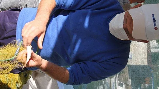 Milas'ta yasadışı su ürünleri avcılığının önlenmesi için denetimler sürüyor