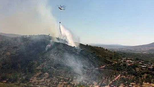 Milas'ta zeytinlik arazideki yangın söndürüldü