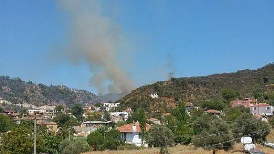Milas'ta zeytinlik arazideki yangın söndürüldü