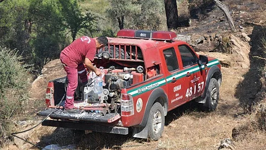 Milas'ta zeytinlik arazideki yangın söndürüldü