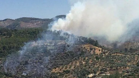 Milas'ta zirai alandaki yangını söndürme çalışmaları devam ediyor