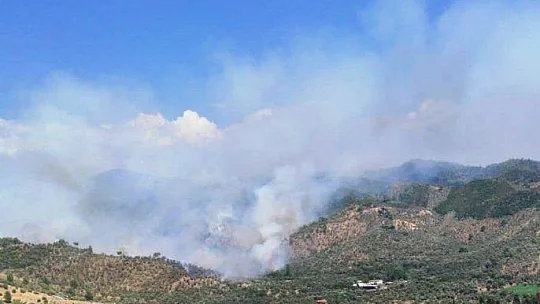 Milas'taki orman yangınına müdahale sürüyor