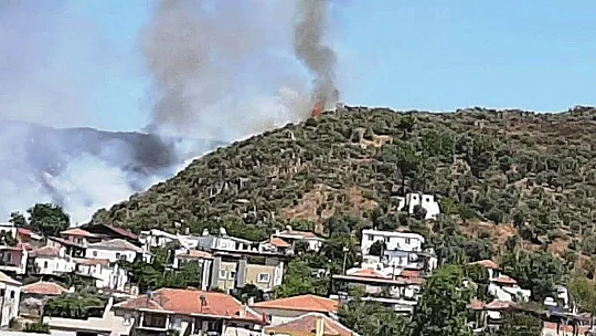 Milas'taki yangın, hızlı müdahale ile kontrol altına alındı