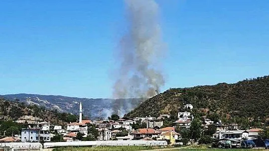 Milas'taki yangın, hızlı müdahale ile kontrol altına alındı