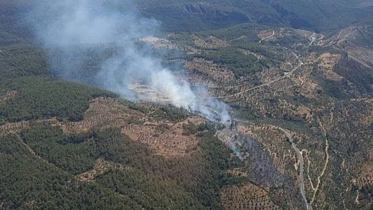 Milas'taki yangın kontrol altına alındı