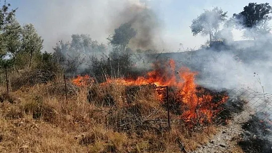 Milas'taki yangın kontrol altına alındı