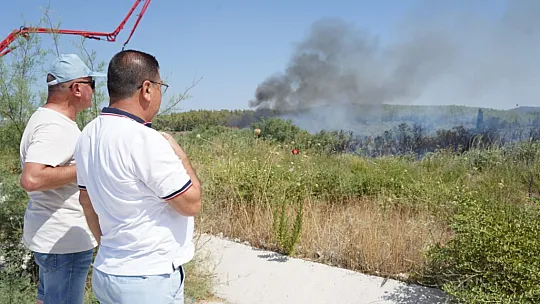 Milas'taki yangına canhıraş mücadele sürüyor