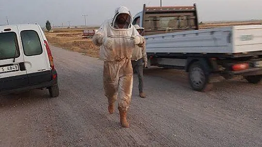 Milaslı arıcı yayla dönüşü kaza yaptı