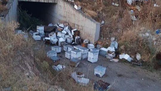 Milaslı arıcı yayla dönüşü kaza yaptı