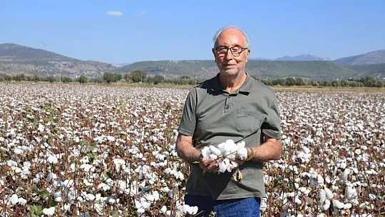 Milaslı çiftçilerin pamuğu tarlada kalmayacak