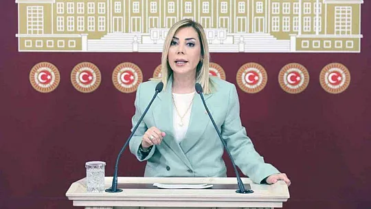 Milletvekili Gökcan: 'Muğla sahipsiz değildir'