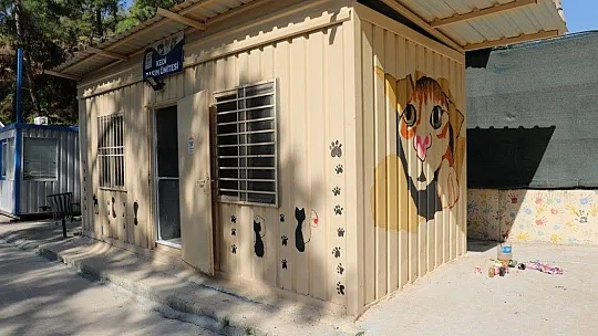 Minik ressamlar bakım evini rengarenk yaptı