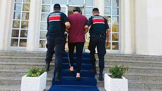 Muğla'da 'Huzur ve güven' uygulamasında 12 tutuklama