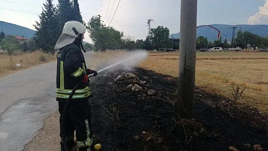 Muğla'da 'Yıldırım' yangınları başladı