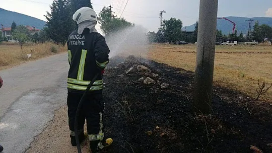 Muğla'da 'Yıldırım' yangınları başladı