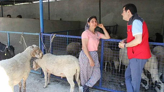 Kurban kesim noktası oluşturuldu